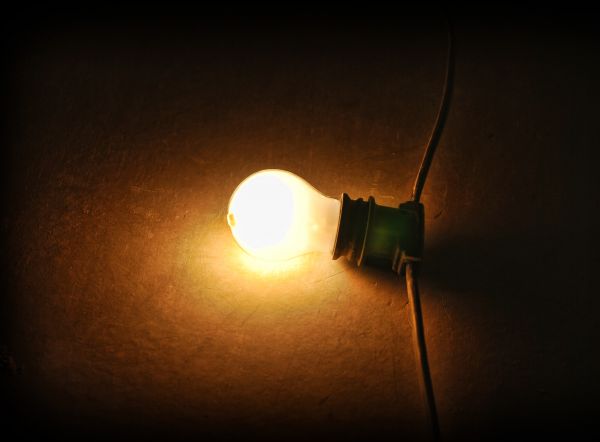 Bulb.